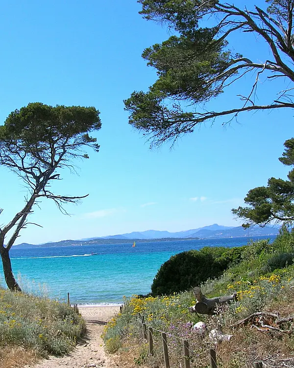 The Golden Islands: a wild interlude